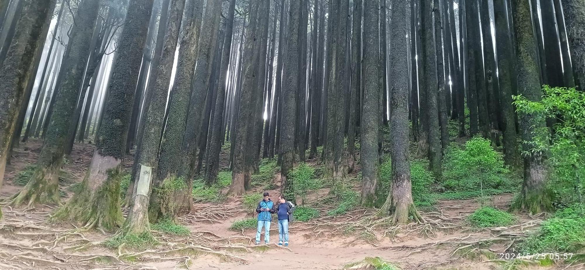 Lama Homestay 大吉岭 外观 照片