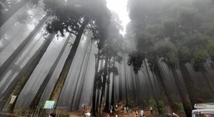 Lama Homestay 大吉岭 外观 照片